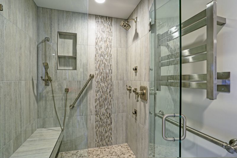 Glass Panel Shower Door